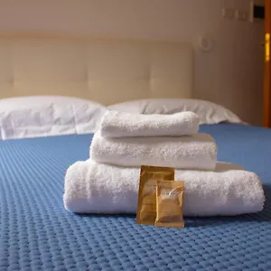 Hotel Oasi San Francesco, Rzym